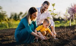 Seyitgazi’de bulunan Büyükyayla Mevkii’ne fidan diktiler