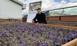 Ülkü Ocakları Genel Merkezi’nin çatısında örnek çalışma; “Yeşil vatanımız en büyük hazinemiz"