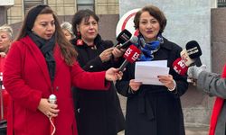 29 Ekim Kadınları Derneği Eskişehir Şubesi: "Yasalardaki bu pembe tablo yaşamın içine yansımıyor"