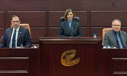 Ayşe Ünlüce'den elektrikli otobüs projesi ile ilgili önemli açıklama