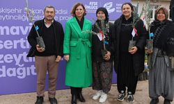 Eskişehir Büyükşehir Belediyesi zeytinciliği geliştirmek adına harekete geçti