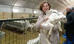 Eskişehir Büyükşehir Belediyesi'nden Aralık ayında da hayvan üreticilerine önemli destek