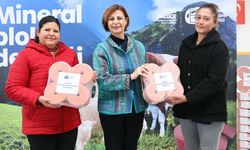 Eskişehir'de 186 üreticiye 15 tonluk önemli destek