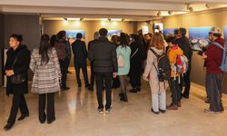 Eskişehir'de 3 gün boyunca açık kalacak olan bu sergiye yoğun ilgi