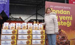 Eskişehir'de arı yetiştiricilerine anlamlı destek