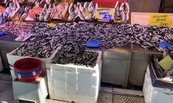 Eskişehir'de balık tezgahlarında yılbaşı bereketi