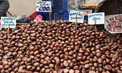 Eskişehir’de kış aylarının sevilen meyvelerinden biri olan kestane bu sene ilgi görmüyor