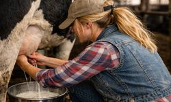 Eskişehir'de yaşayan süt üreticilerini sevindirecek gelişme; Resmi açıklama geldi