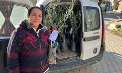 Eskişehir'in 2 ilçesinde daha zeytin fidanları dağıtıldı