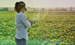Eskişehirli çiftçileri ilgilendiren bir zorunluluk geldi; Resmi Gazete’de yayımlandı