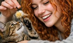 Evcil hayvan sahipleri dikkat; Artık çok az bir vaktiniz var ve para cezası uygulanacak