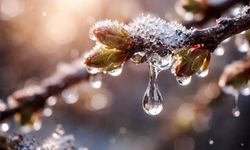 2026 yılında cemrelerin düşeceği tarihler açıklandı; İlk cemre ne zaman düşecek