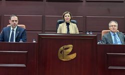 Ayşe Ünlüce Yeşiltepe halkına seslendi; "Endişeniz olmasın"