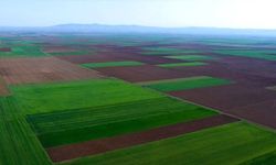 Danıştay’dan Alpu Ovası kararı: Eskişehir Büyükşehir Belediyesinin hukuk mücadelesinde yeni karar