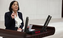 Emekli veterinerlere kötü haber; Jale Nur Süllü'den açıklama geldi