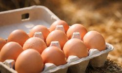 Eskişehir halkı zincir marketten yumurta almayı bıraktı; İşte sebebi