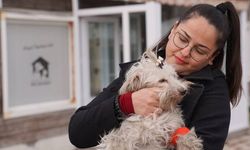Eskişehir'de 2025 yılında sahiplendirilen sokak hayvanı sayısı açıklandı