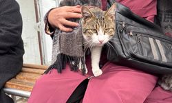 Eskişehir'de son günlerde bu manzaralara sıklıkla rastlayabilirsiniz