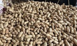 Eskişehir halkı bu yılbaşında en çok bu kuruyemişi tercih etti; İşte sebebi