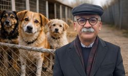 İbrahim Arslan'dan hayvan barınağı ile ilgili açıklama; "Sorunun boyutu ne yazık ki daha büyük"