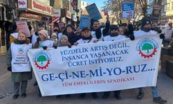 Tüm Emeklilerin Sendikası: "Emeklilerin maaşlarına derhal 20 bin lira seyyanen zam yapılsın"