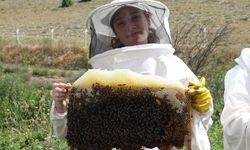 Eskişehir Odunpazarı Belediyesi Arıköy 2026 yılı arıcılık eğitimleri için kayıtlar başlıyor