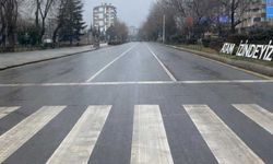 Eskişehir’de 'Arabasız Pazar' uygulamasınin ikincisi başladı