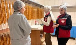 Eskişehir’de denetimler yapıldı, numuneler alındı, cezalar uygulandı