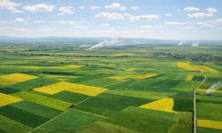 Ayşe Ünlüce Alpu Termik Santrali projesine ilişkin mahkeme kararını açıkladı; Alpu Termik Santrali yapılacak mı?