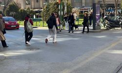 Cemrelerin düşmesiyle birlikte Eskişehir'de bahar mevsimi etkisini iyice hissettirmeye başladı