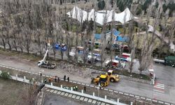 Eskişehir Büyükşehir Belediyesi harekete geçti; O ağaçlar sökülüp yerine çınar ağaçları dikilecek