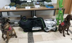 Eskişehir’de bir evde yapılan aramada çok sayıda yasaklı madde ele geçirildi