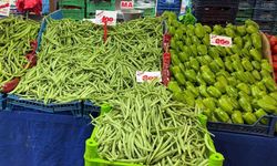 Eskişehir’de dolmalık biber ve taze fasulyenin fiyatı semt pazarlarında gündem oldu