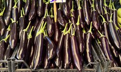 Eskişehir’de semt pazarlarında patlıcana bakan çok, alan yok