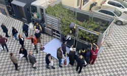 Eskişehir’de ücretsiz fidan dağıtımı yapılacak; Yeri ve saati de açıklandı