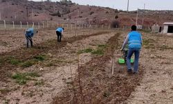 Eskişehir’de yükümlüler yüzlerce meyve fidanının bakımı ile ilgileniyor