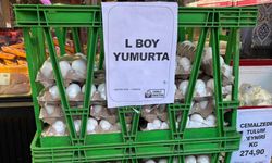 Eskişehir’de yumurta fiyatlarında düşüş; Bayram öncesinde ilaç gibi geldi