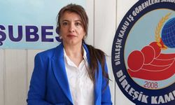 Fadime Arslan 8 Mart için konuştu; Kadın emekçilerin kamudaki sorunlarını tek tek anlattı