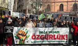 Hakan Tosun’un dostlarından açıklama: “Bu dosya yalnızca bir ceza dosyası değildir”