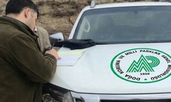 Yaban hayatına darbe vuran 3 kişiye rekor ceza kesildi