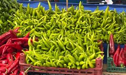 Eskişehir’de biber fiyatları cep yakıyor; Geçen sene nisan ayında yarı fiyatıydı
