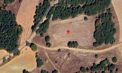 Eskişehir'de yer alan o belediye 3 tarlayı ihale ile satacak