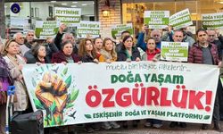 Eskişehir’de zeytinlik direnişinde kritik gün yaklaşırken dikkat çeken çağrı