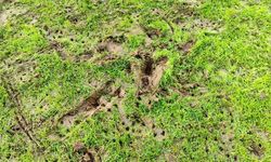 Eskişehirspor’un uzun süredir beklediği adım atıldı, stat zemini için harekete geçildi