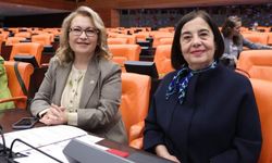 Jale Nur Süllü torba kanun teklifine tepki gösterdi