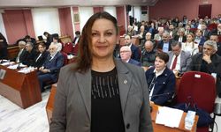 Özlem Ünalır: "Kendinize bağlı çalışacak bir iç denetçi bulamadınız mı?"
