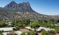 TEMA Vakfı’ndan Eskişehir’deki maden projesine itiraz, bilirkişi incelemesi yapılacak