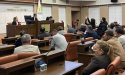 Eskişehir’de 7 mahalleye doğalgaz geliyor; Mecliste karar alındı