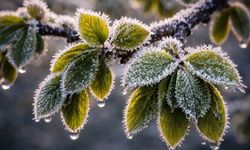 Eskişehir Valiliği Eskişehir'de yaşayan çiftçilere yönelik önemli bir duyuru yaptı
