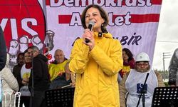 Ayşe Ünlüce: "Kol kola mücadelemize devam edeceğiz"